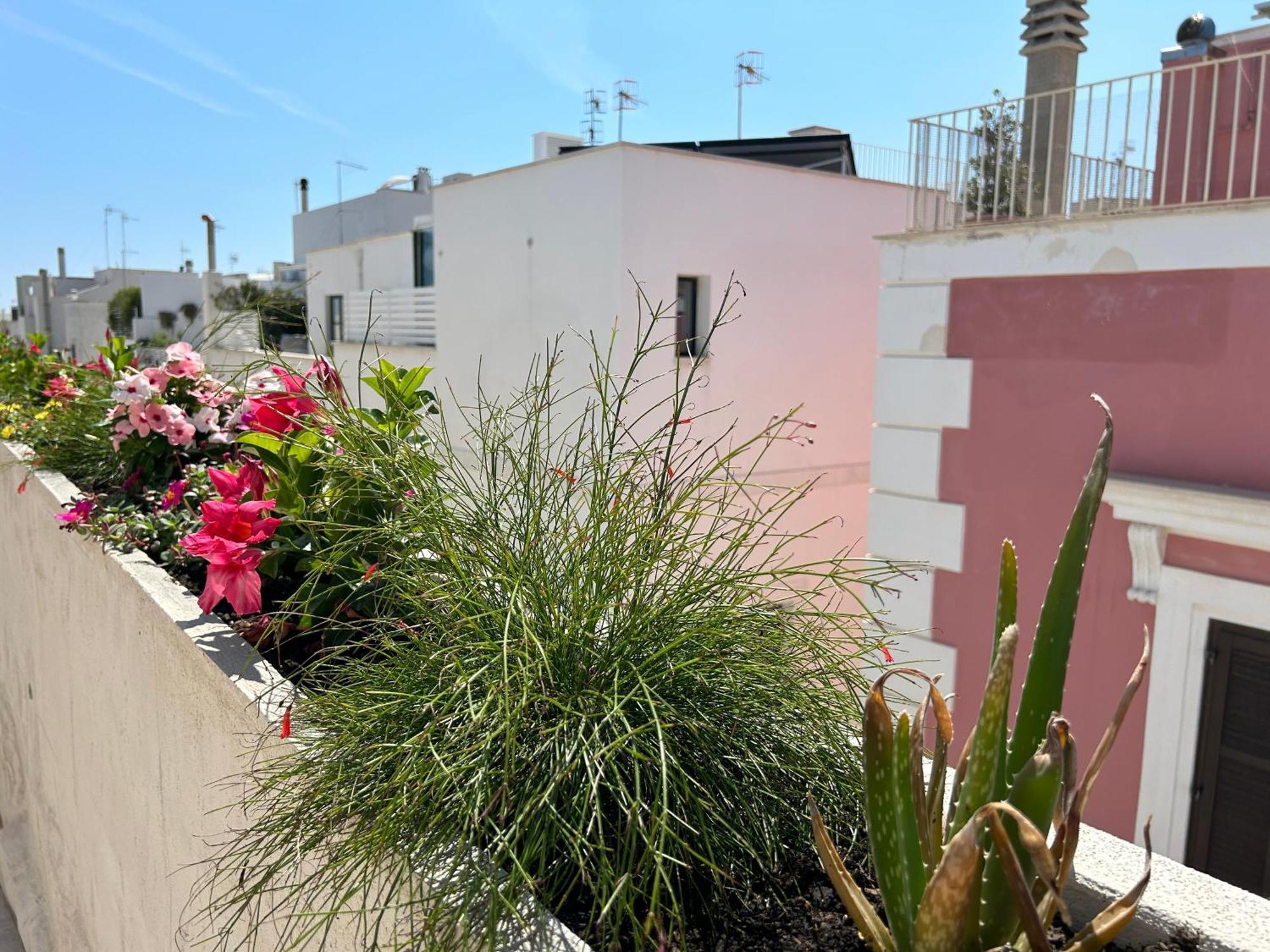 Trame Dimora Rachele Bed & Breakfast Polignano a Mare Exterior photo
