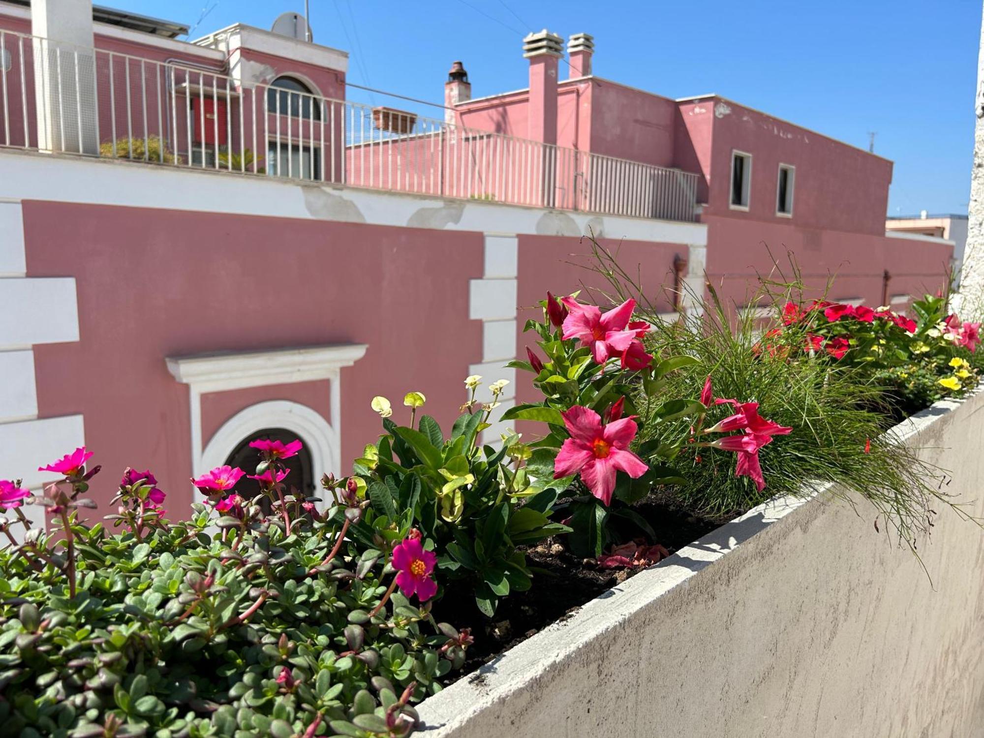 Trame Dimora Rachele Bed & Breakfast Polignano a Mare Exterior photo